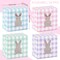 24Pcs Easter Treat Boxes with Bunny Window 4 x 4 x 2.6 Inch Colorful Plaids Cupcake Cardboard Box Rabbit Shape Window Cookie Goodie Candy Box Easter Treat Gift Boxes for Holiday Party Favor